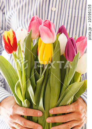 bouquet of tulips in a hand bouquet of tulips in a hand 10596156