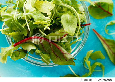 fresh salad 10596260