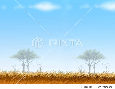 Postcard and Note Paper of Safari Background 10596939