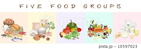 Health and Nutrition Benefits of Five Food Groups 10597023