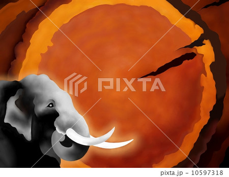 Hand Drawing of Elephant on Wooden Background Hand Drawing of Elephant on Wooden Background 10597318
