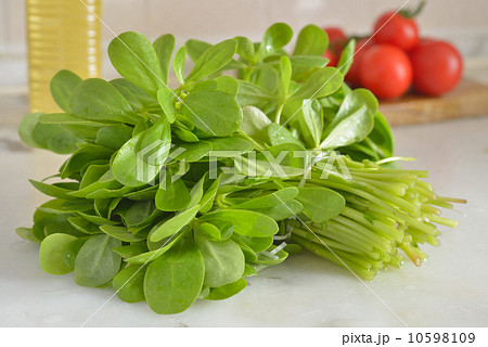 Purslane 10598109