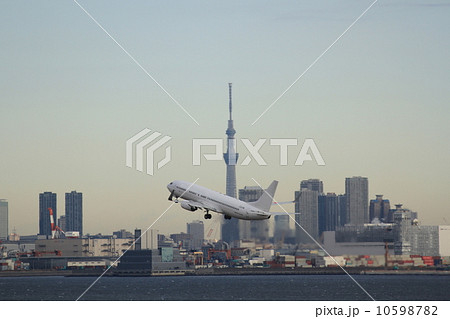 スカイツリーと旅客機 10598782