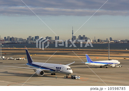 大都会の空港 10598785
