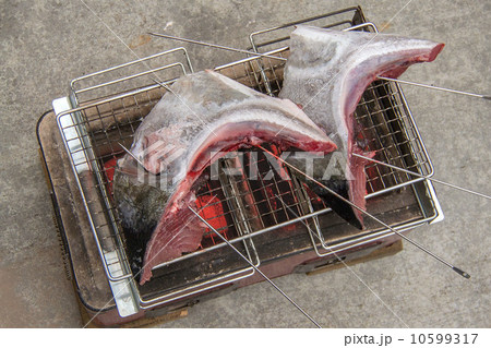 マグロのかま焼き 10599317