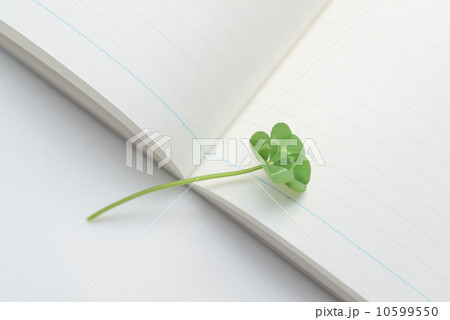 ノートとクローバー 10599550