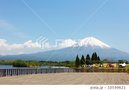田貫湖キャンプ場(静岡県富士宮市) 10599621