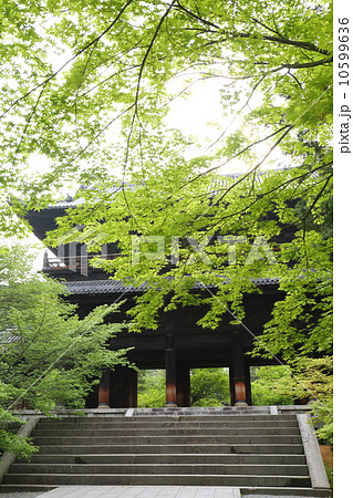 京都　南禅寺　新緑と三門 10599636