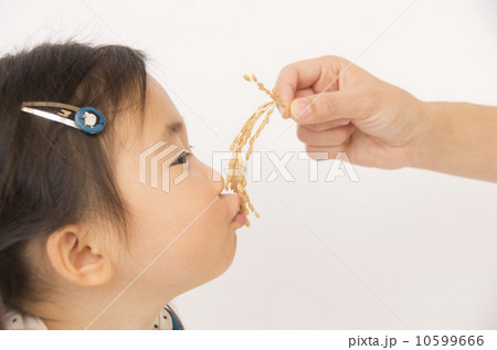 親から子へ 10599666