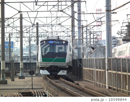 埼京線　Ｅ233系　武蔵浦和駅 10599844