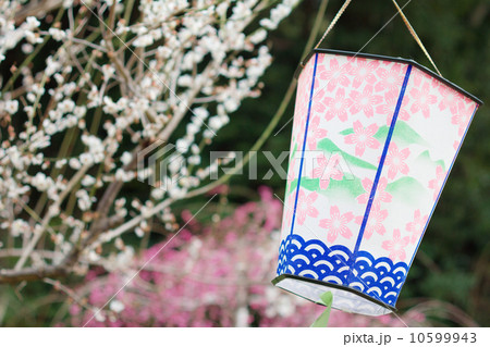 梅祭りの風景 10599943