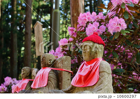 お地蔵さんとシャクナゲ 10600297
