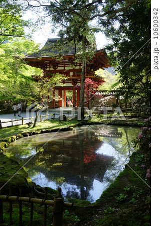 室生寺の仁王門 室生寺の仁王門 10600342