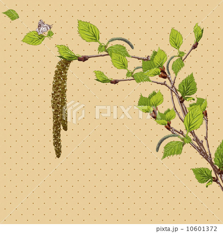 Vintage Card with Birch Twigs  10601372