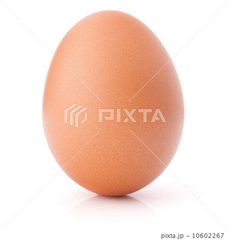 Egg isolated on white background cutout 10602267