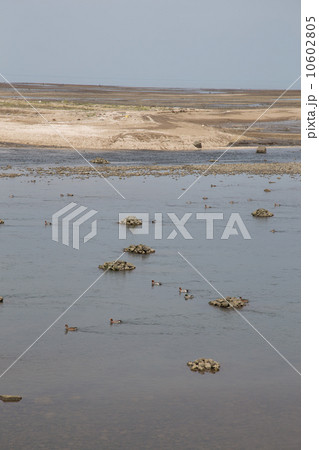 城井川のアグラのある風景 10602805