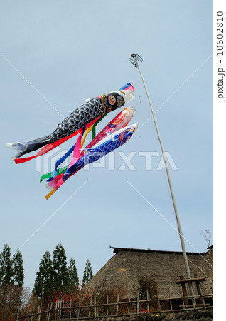 鯉のぼりと茅葺屋根 鯉のぼりと茅葺屋根 10602810