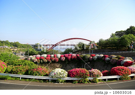 音戸大橋 10603016