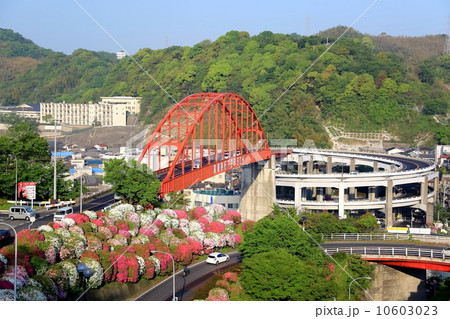 音戸大橋 音戸大橋 10603023