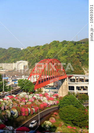 音戸大橋 10603031