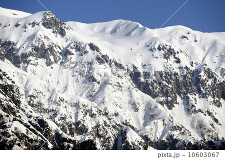 アルプス 10603067