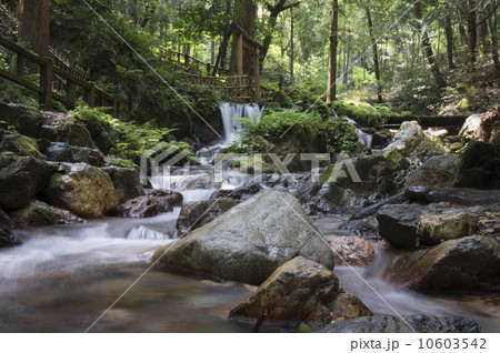 瓜割の滝 瓜割の滝 10603542