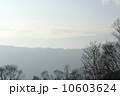 しらびそ高原から望む中央アルプス 10603624