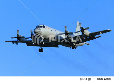 JMSDF Kawaaski P-3C Orion Landing 10603866