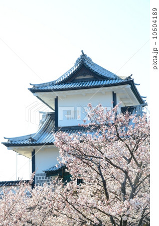 春の金沢城【縦】 春の金沢城【縦】 10604189