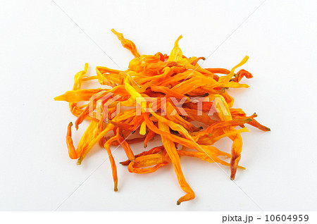 キンシサイ（乾燥） 10604959