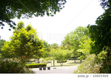 霧島アートの森美術館　緑 10605469