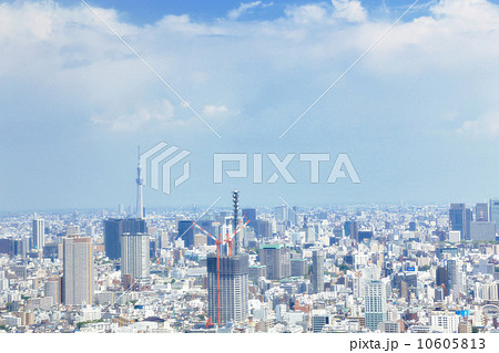 都庁からの眺め 都庁からの眺め 10605813