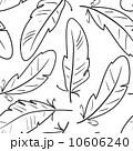 Seamless pattern with birds feathers 10606240
