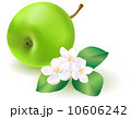 Green apple with leaf and flowers 10606242