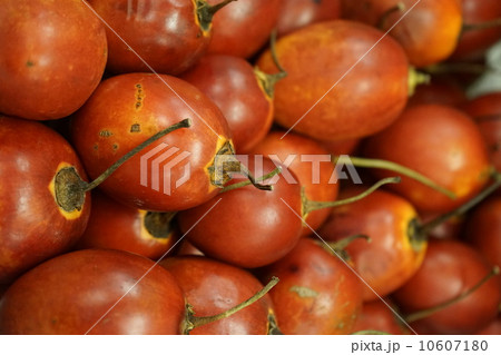 ５月食材・フルーツ・果物11タマリロ・ツリートマト 10607180