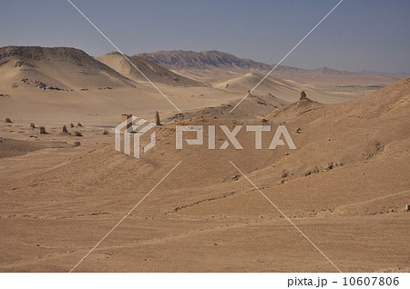 Palmyra and desert 10607806