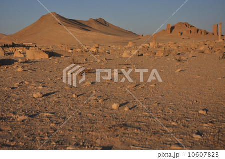 Palmyra and desert Palmyra and desert 10607823