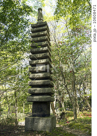 有馬温泉 瑞宝寺公園 十三重石塔 有馬温泉 瑞宝寺公園 十三重石塔 10608471