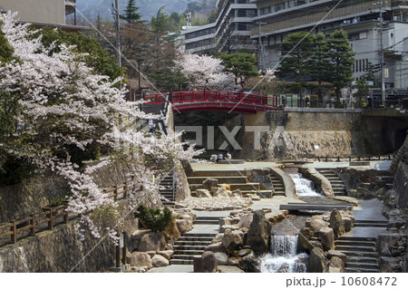 有馬温泉 ねね橋と有馬川と桜 10608472