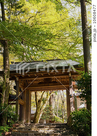 有馬温泉 瑞宝寺公園 旧瑞宝寺山門 有馬温泉 瑞宝寺公園 旧瑞宝寺山門 10608477