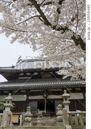 有馬温泉 有馬山温泉禅寺 有馬温泉 有馬山温泉禅寺 10608480