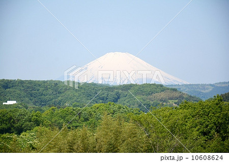 渋沢丘陵から見る冠雪した富士山 10608624