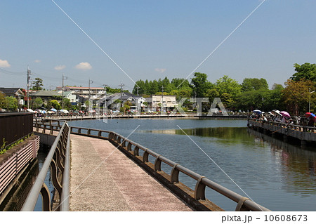 水元公園小合溜の釣り場 水元公園小合溜の釣り場 10608673