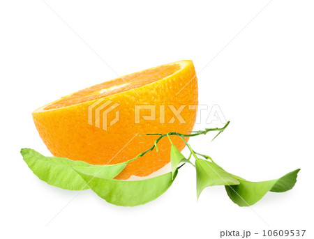 Halh of orange and branch 10609537