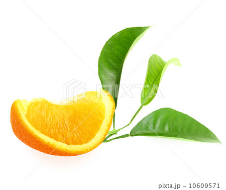 Part of orange and branch with green leaf Part of orange and branch with green leaf 10609571