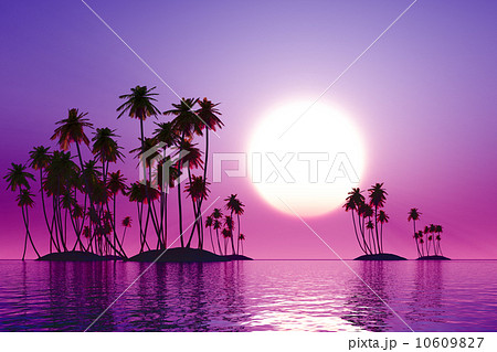 purple sunset 10609827