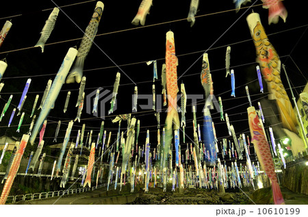 杖立温泉のこいのぼり 10610199