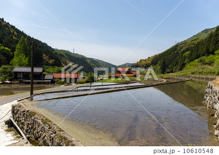 石垣棚田 石垣棚田 10610548