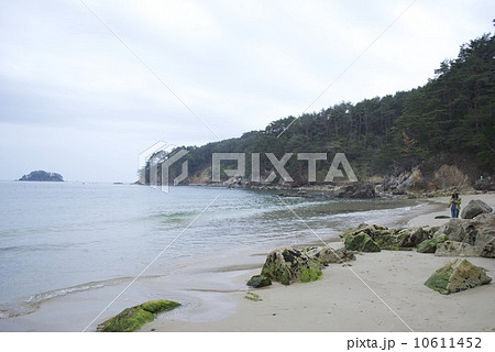 気仙沼大島の十八鳴浜 10611452