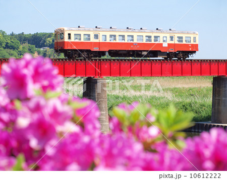 ツツジ咲く小湊鉄道 10612222